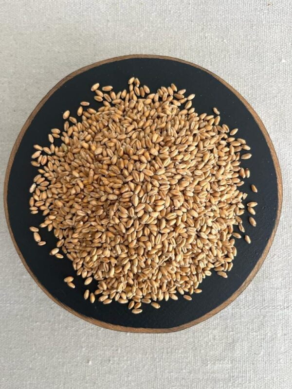 Organic Hard Red Winter Wheat-3lb