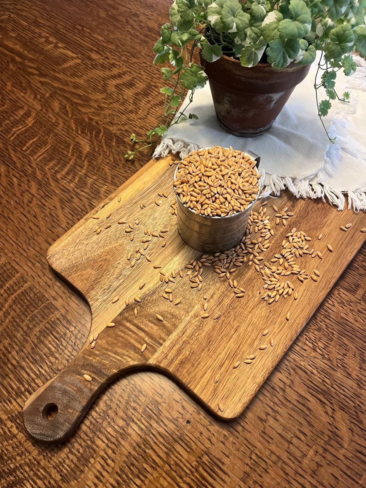 Organic spelt (6 lb.)