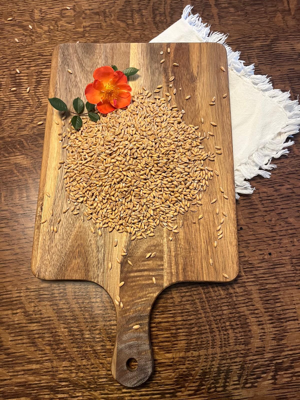 Organic spelt (6 lb.) - Image 3