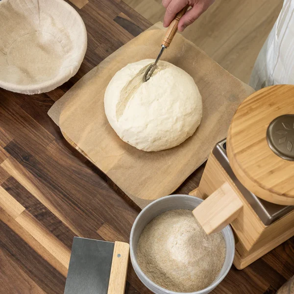 Bosch Black Universal Plus with Sourdough Bundle - Image 3