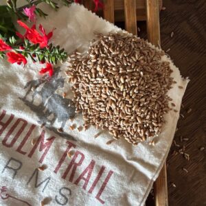 Heirloom (Turkey Red) Hard Winter Wheat Berries